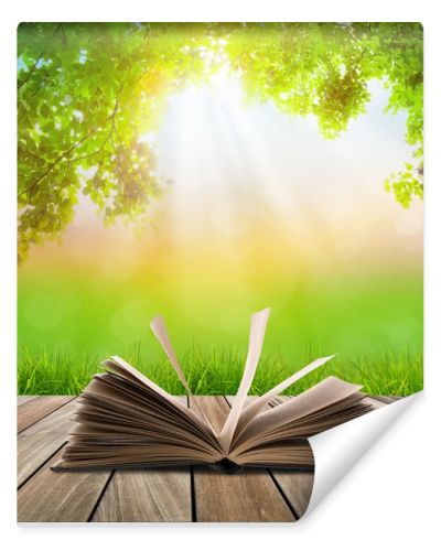 Open book on wood floor with green grass and leaf