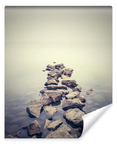 Minimalist misty landscape. Ukraine.