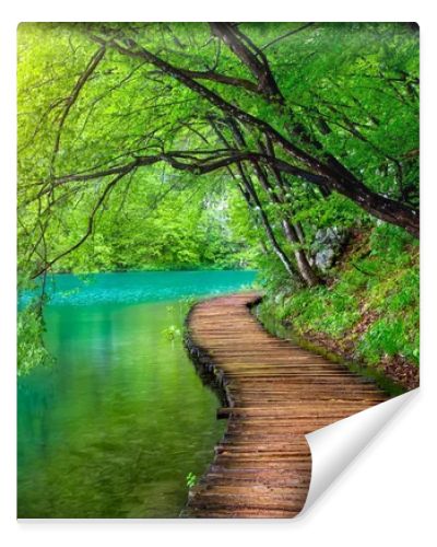 Deep forest stream with crystal clear water in the sunshine. Plitvice lakes, Croatia