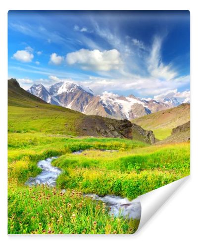 River in mountain valley with bright meadow. Natural summer landscape