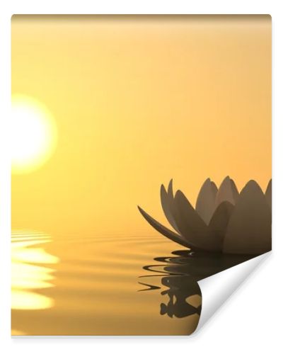 Zen flower lotus on sunset