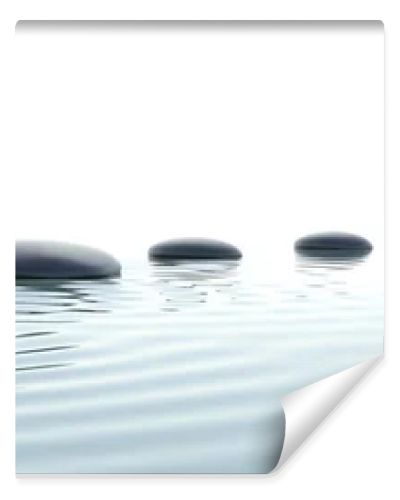 Zen path of stones in widescreen