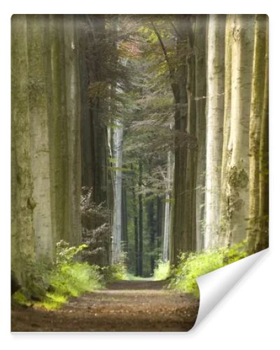 Nature pathway
