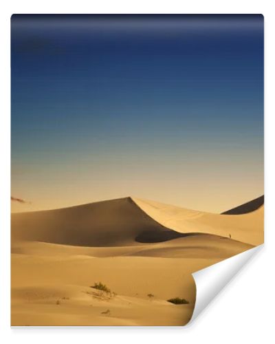 Desert Sand Dunes