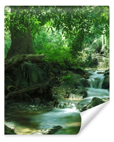 panorama view of nice waterfall and pond in green tropical environment