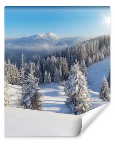Winter day in the mountains