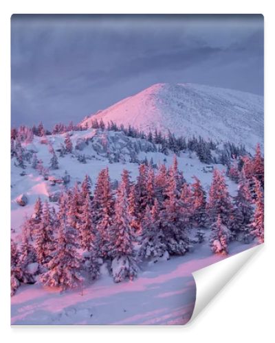 Winter mountain at sunrise