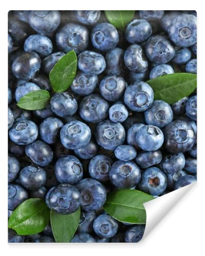 Tasty ripe blueberries with green leaves close up
