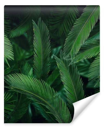 Many bright green tropical leaves as background