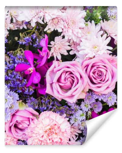 Colorful nature flowers