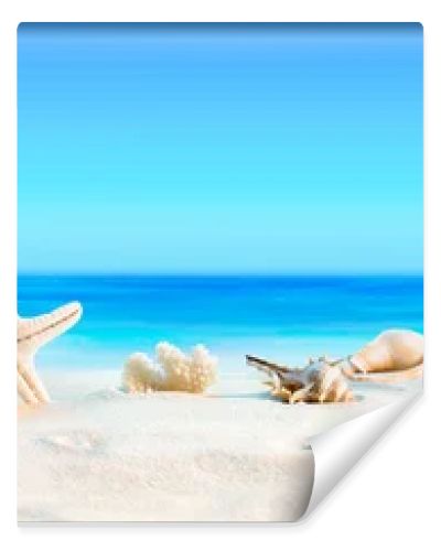 Landscape with seashells on tropical beach - summer holiday