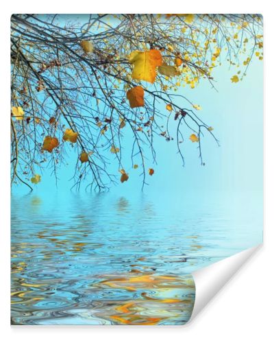Autumn