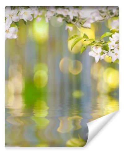 Apple flowers background