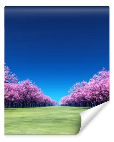 cherry trees