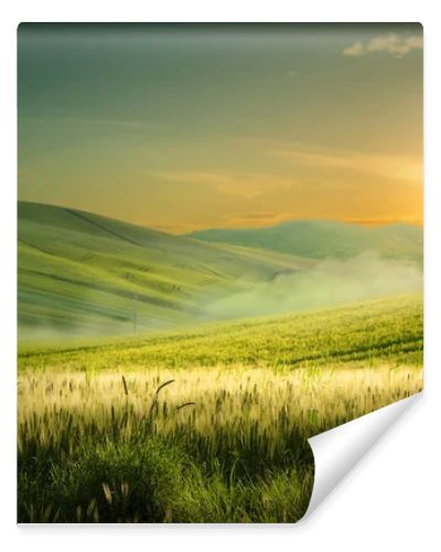 Beautiful nature countryside landscape  spring flowering field over sunrise sky