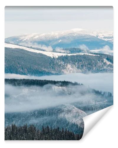 scenic view of snowy mountains with pine trees in white fluffy clouds