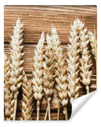 top view of wheat ears on wooden background, panoramic shot