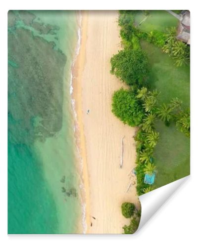 An aerian view of a beach of Hawai with palms