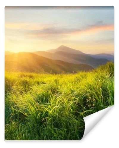 Mountain valley during sunset. Field with fresh grass and the mountain hills. Natural landscape at the summer time
