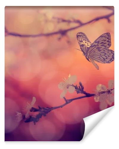 Vintage photo of butterfly and tree flowers