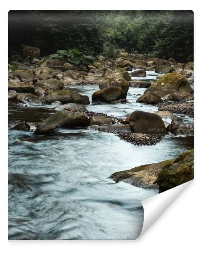 wet stones near flowing brook and green trees 