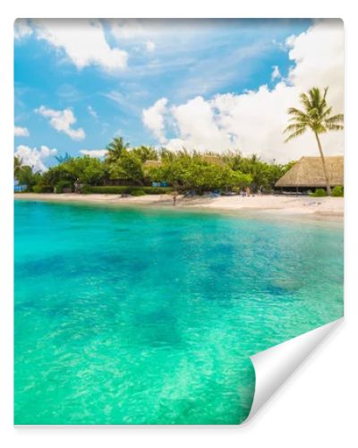 Huahine, French Polynesia. South Pacific. Tropical vacation landscape with lagoon, white sandy beach and palm trees on the island.