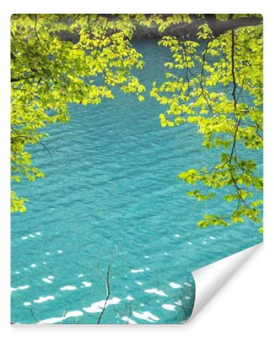 Beautiful summer background with green trees near the blue water near the lake, summer bright background