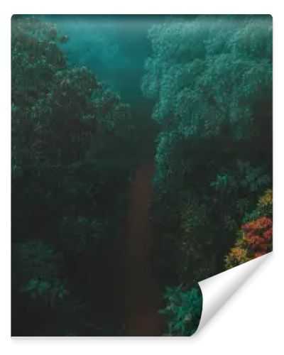 Gentle mist wraps around a serene forest path lined with vibrant autumn colors.