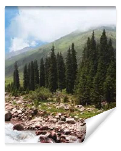 Panorama of a mountain river