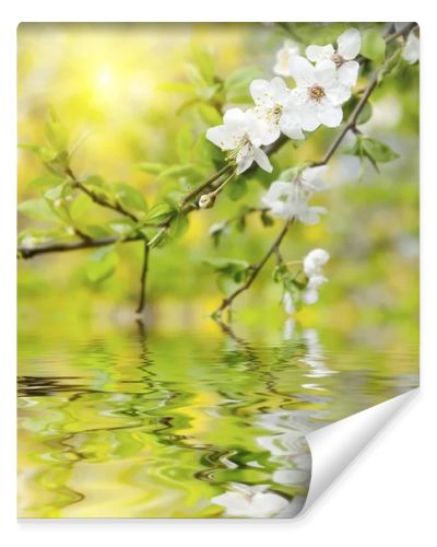 Spring flowers