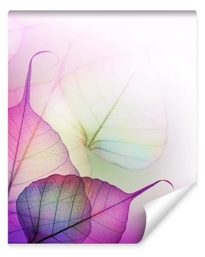 Floral Design. Leaves
