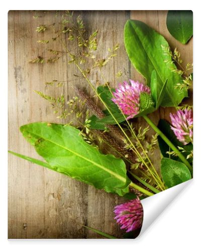 Herbs over Wood. Herbal Medicine. Herbal Background