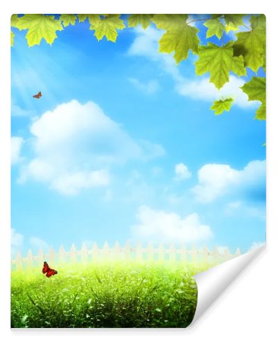 Art abstract natural backgrounds with beauty bokeh
