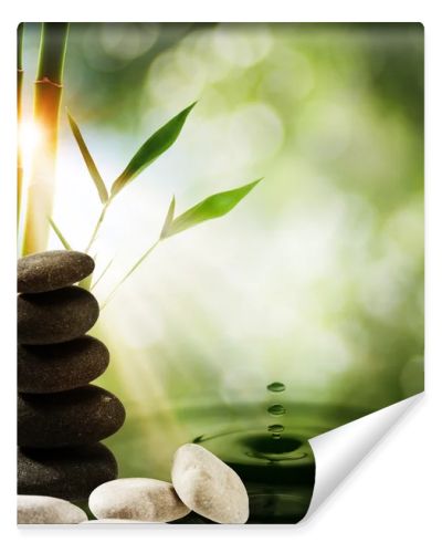 Oriental eco backgrounds with bamboo and water splash