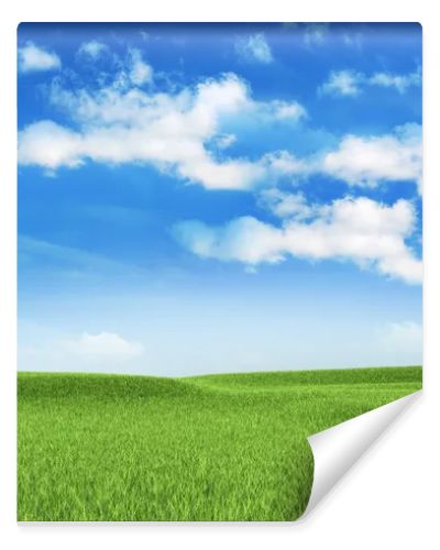 Nature background - meadow