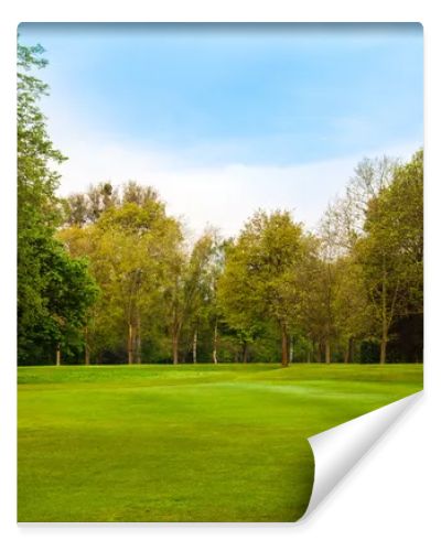 Beautiful summer landscape. green field and trees