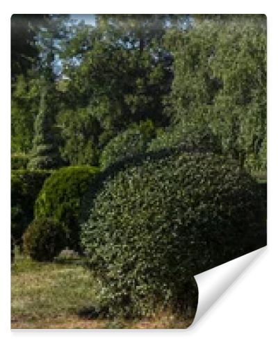 Trees and bushes on green grass in park, panoramic shot