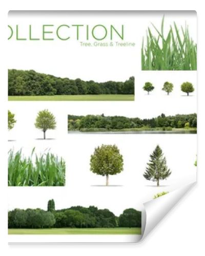 View of a Very high definition Treeline, grass and tree collection isolated on a white background