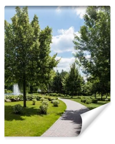 panoramic shot of green trees on grass near fountains