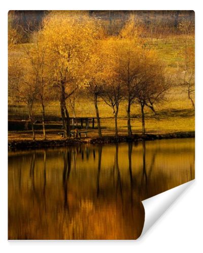 Autumn landscape beautiful colored trees over the river, glowing in sunlight. wonderful picturesque background. color in nature. Bright autumn trees with their reflection in water