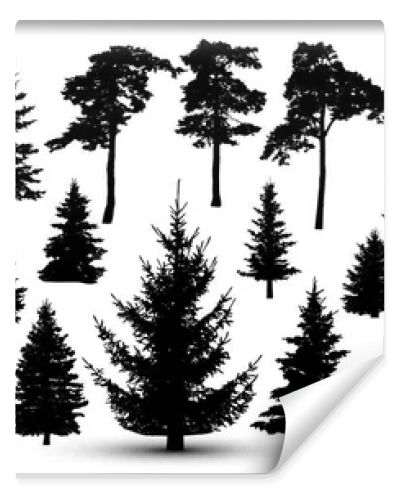 Trees forest set, vector. Silhouette of pine, spruce