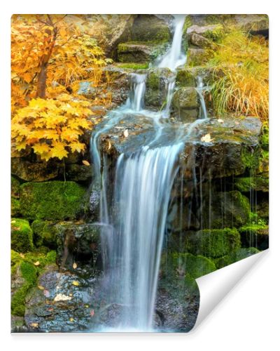 Landscape of Waterfall in yellow Autumn forest