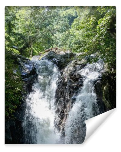 scenic view of Aling-Aling waterfall and various green plants, Bali, Indonesia