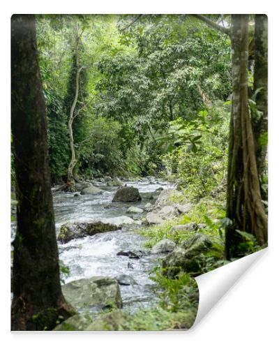 scenic view of river, trees with green foliage and rocks, Bali, Indonesia