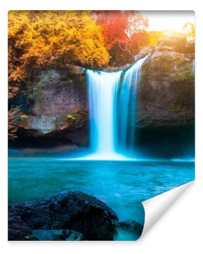 Water fall with red leaf in forest background.