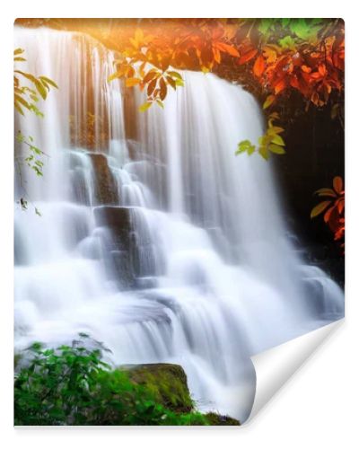 waterfall in rain forest