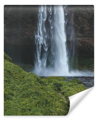 scenic view of Seljalandsfoss waterfall in highlands in Iceland 