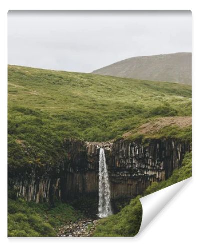 distant view of Svartifoss (Black fall) waterfall in Iceland 