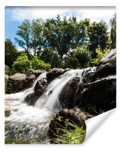 steam with water flowing on wet stones near green trees in park 