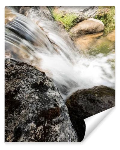 steam with water flowing on rocks near grass in park 